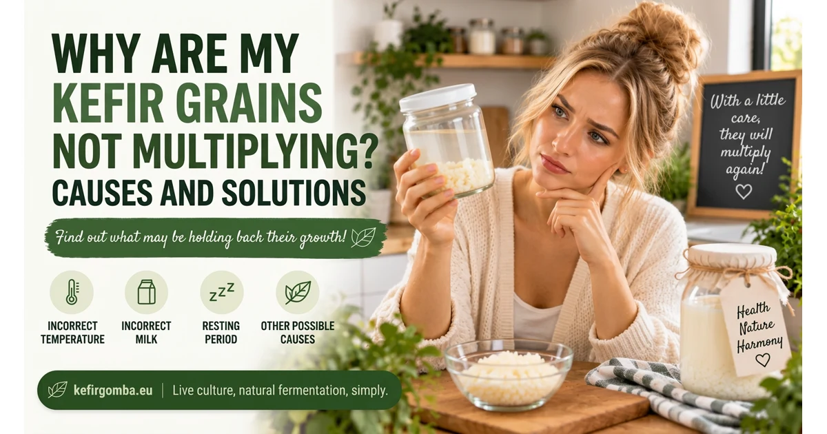 Why Aren't My Tibetan Kefir Grains Multiplying? Causes and Solutions