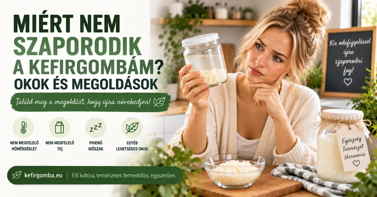Miért nem szaporodik a Tibeti kefirgomba? A leggyakoribb okok és megoldások